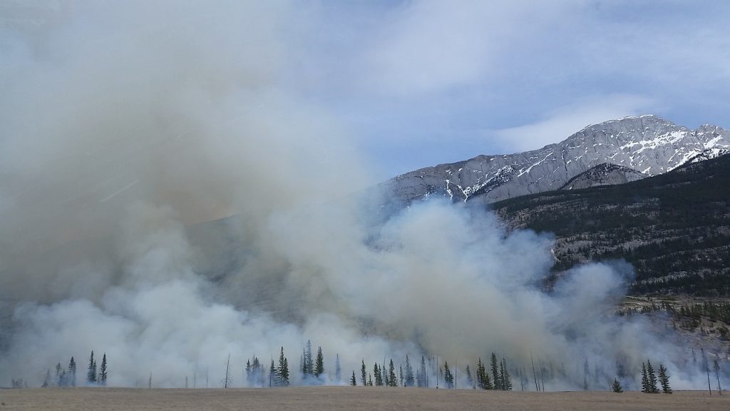 forest fire in front of a mountain