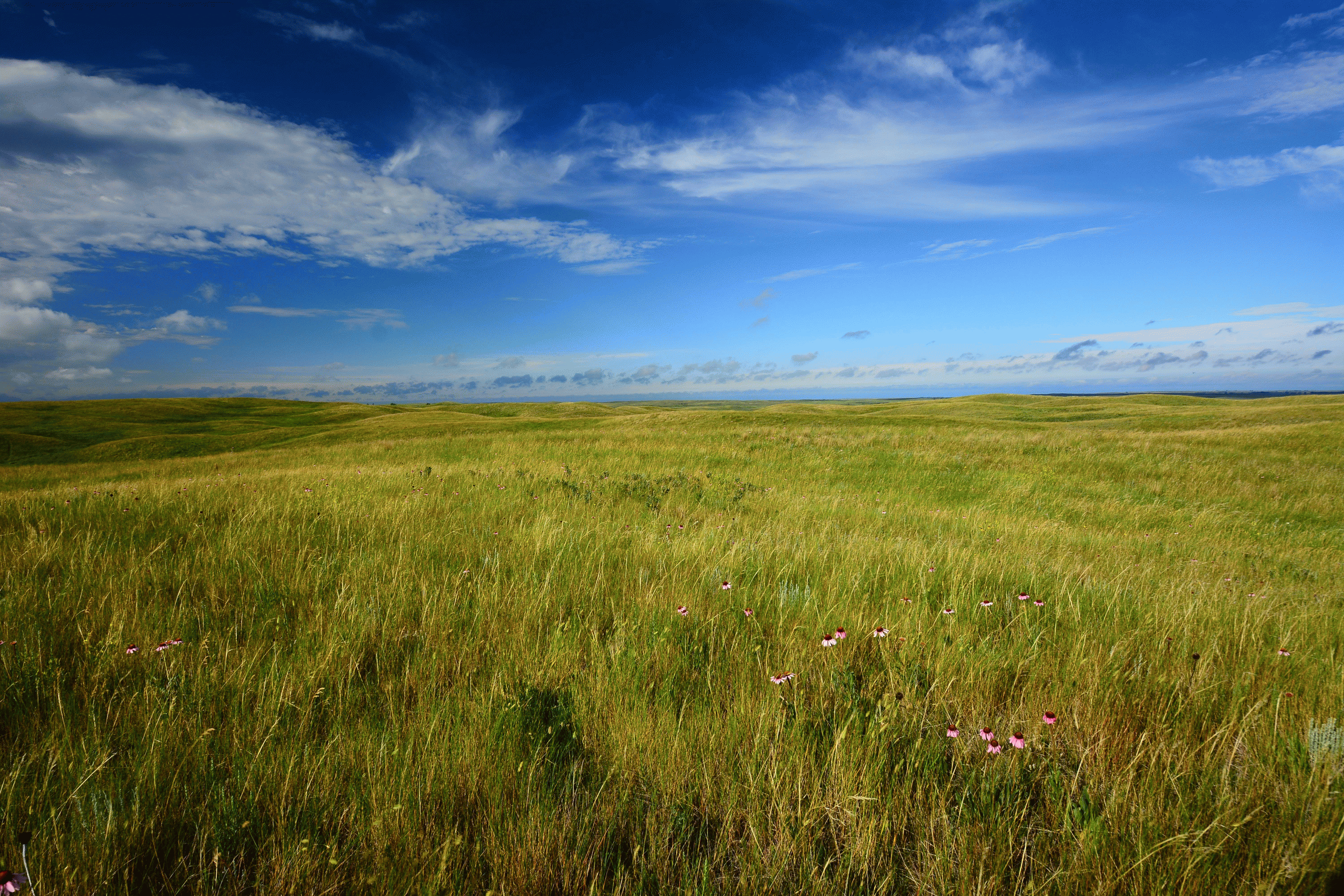 U.S. Climate Resilience Toolkit Launches New Section for the Northern Great  Plains Region - Climate Program Office