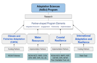 AdSci Program organizational chart.