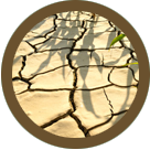 Drought Icon
