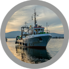 fishing Vessel and Marine Ecosystem Task Force Icon