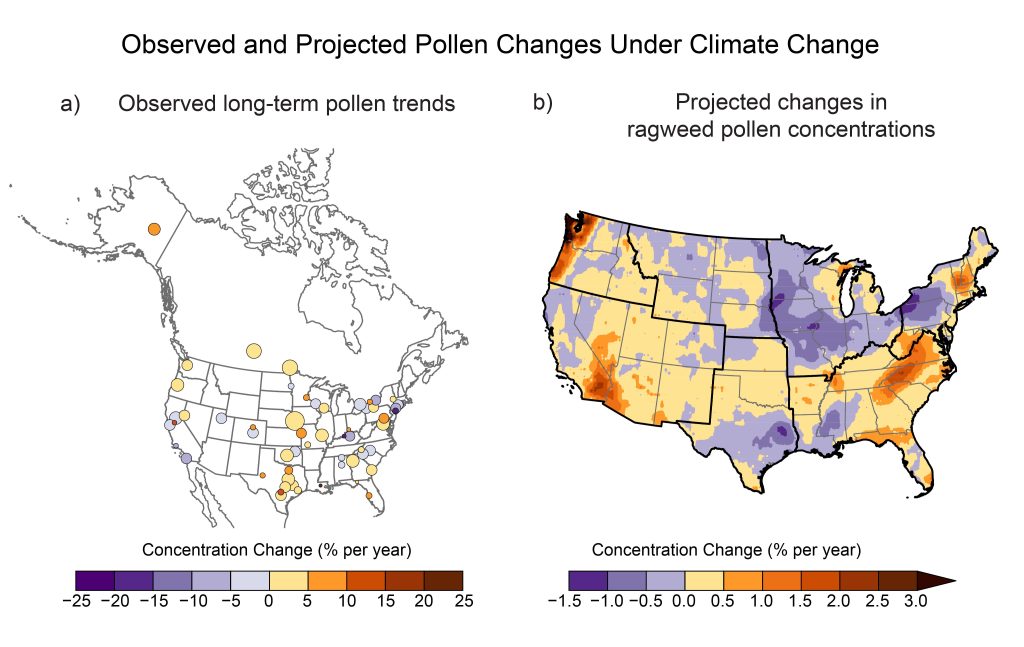 Observed and Projected Pollen Changes Under Climate Change