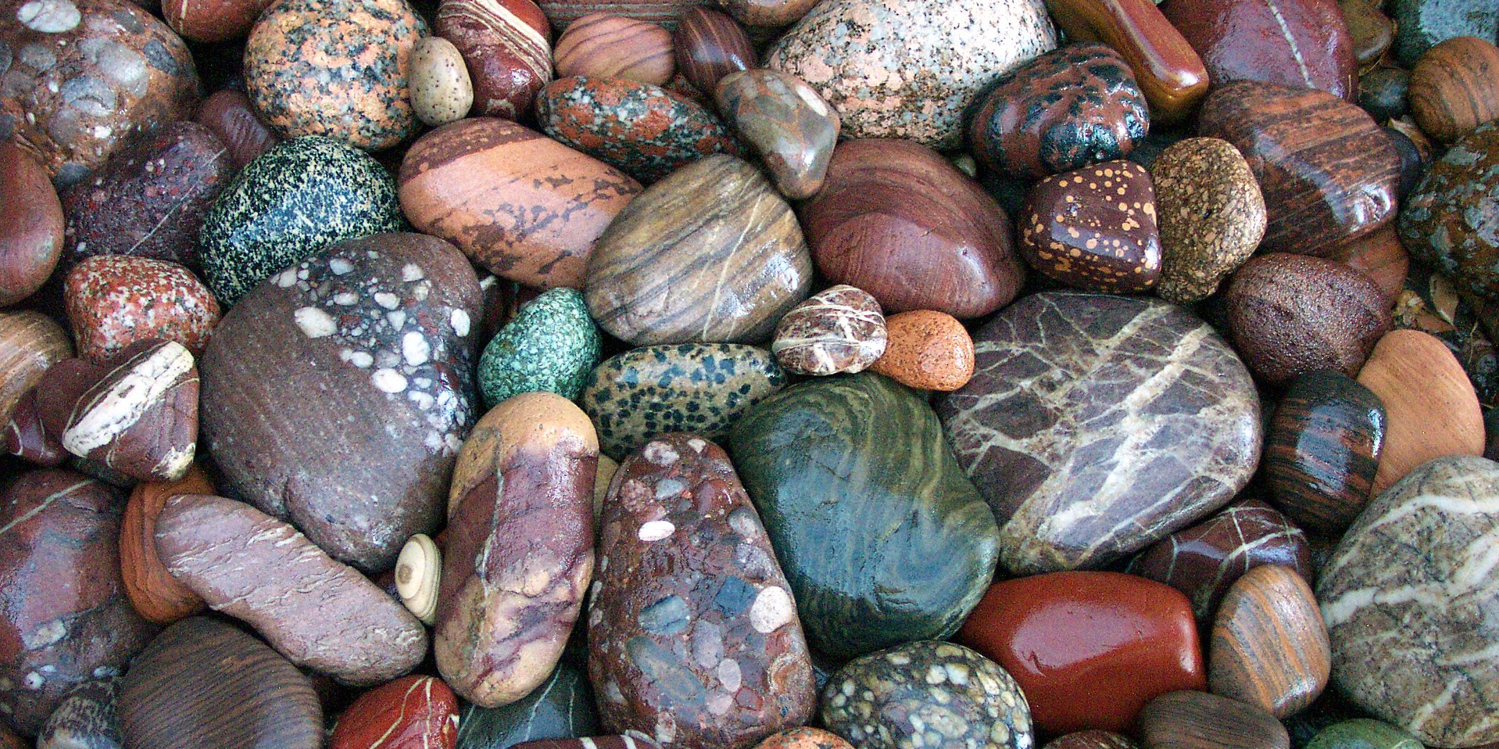 Some rocks from LuAnn's collection