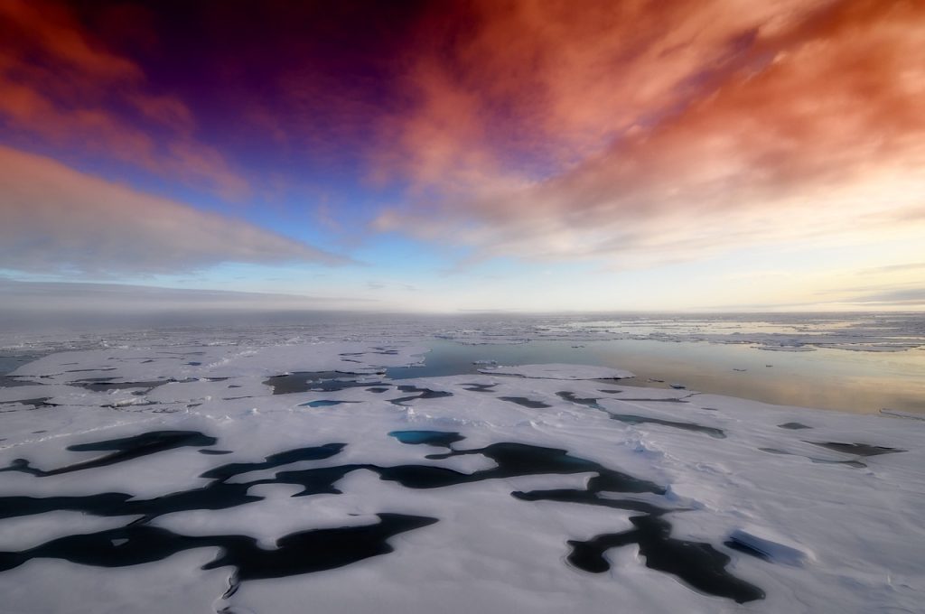 Arctic sea ice under an evening sky