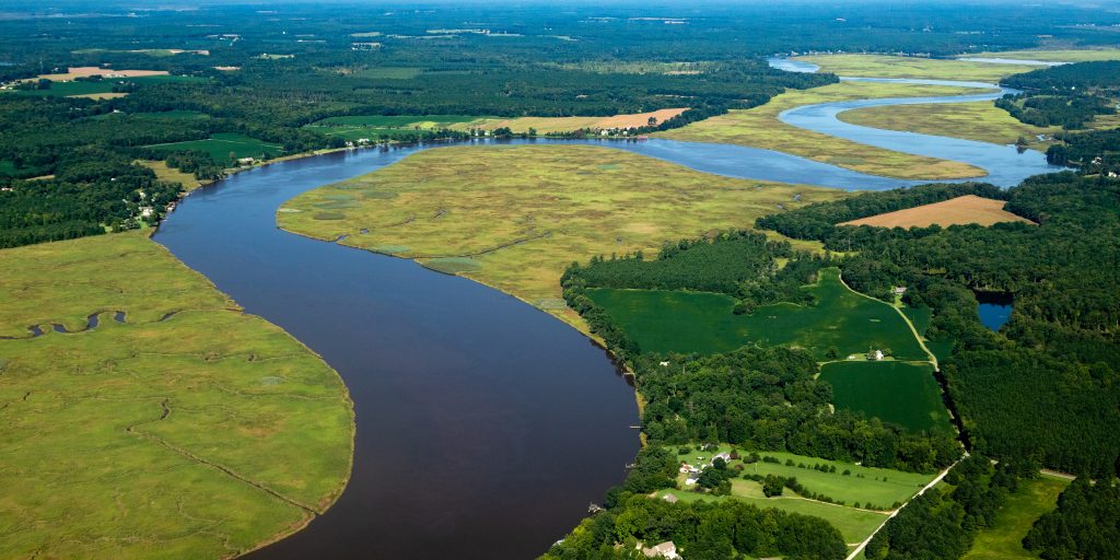 The Mattaponi River winds through freshwater wetlands in King and Queen County, Va., on Aug. 24, 2018. The Mattaponi eventually joins the Pamunkey River to form the York River. (Photo by Will Parson/Chesapeake Bay Program)