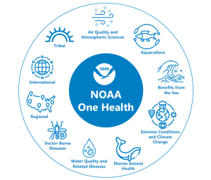 The NOAA One Health Network