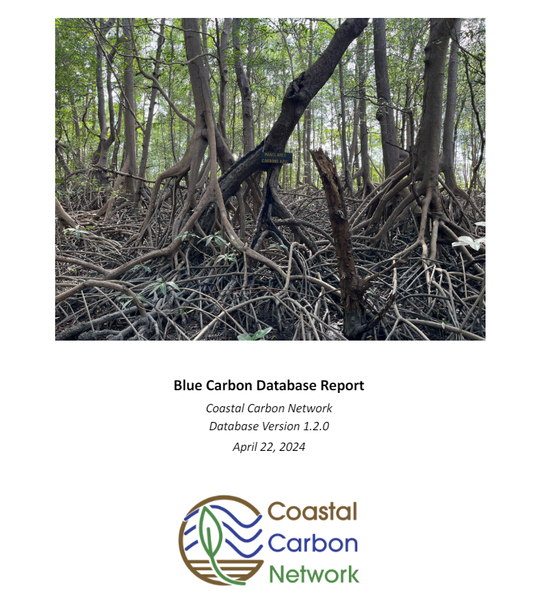 cover page for SERC report