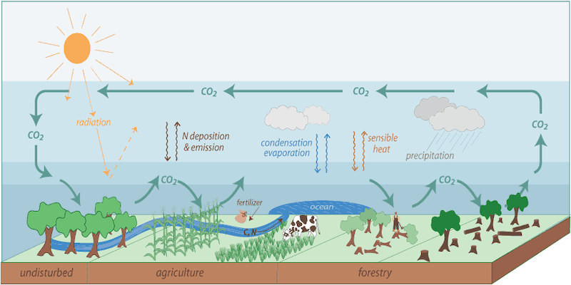 Carbon cycle schematic showing the movement of carbon dioxide between land, atmosphere, and water bodies, as well as other energy fluxes.