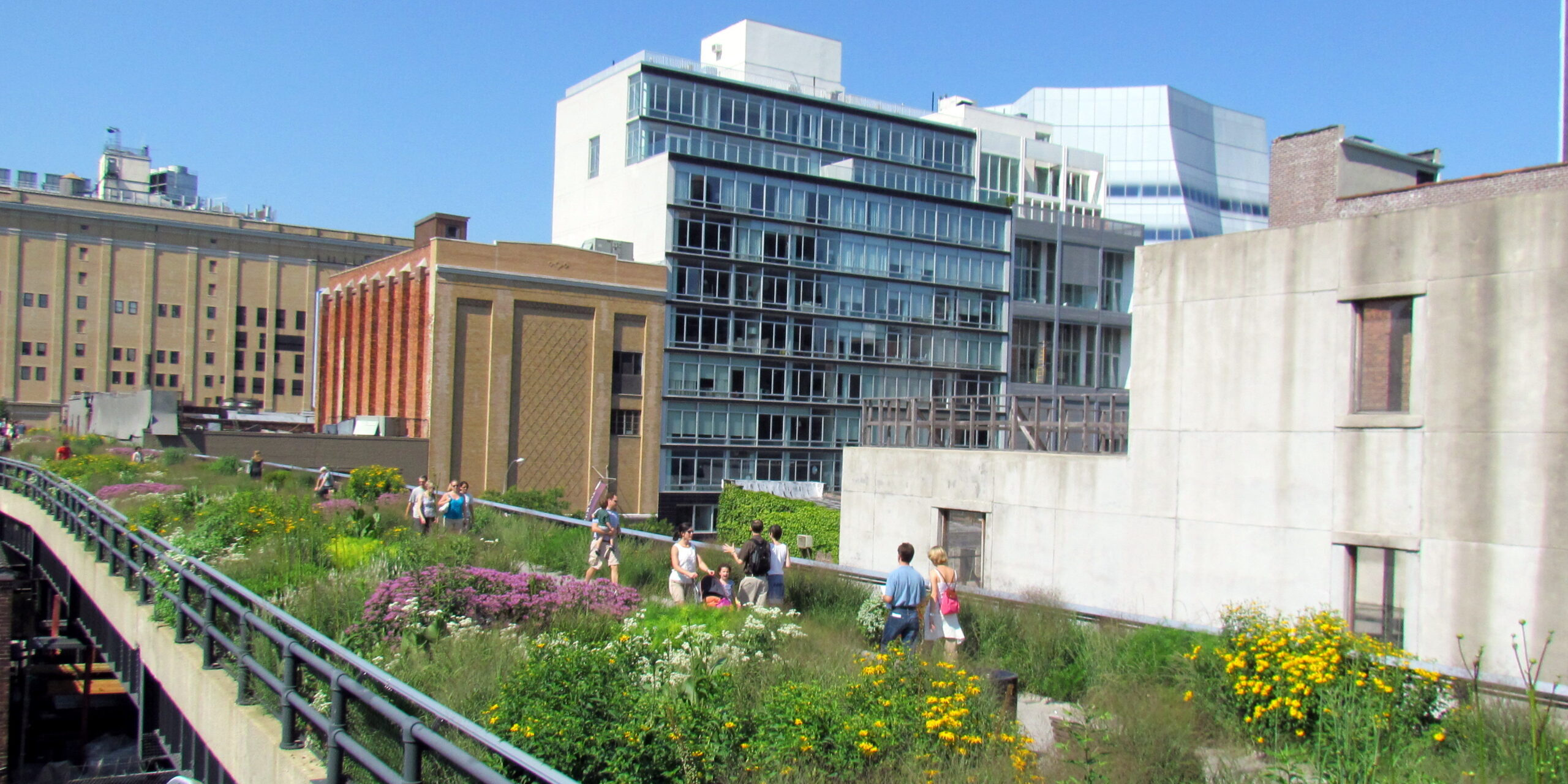 People walk through a vegetated raised platform in front of tall buildings.