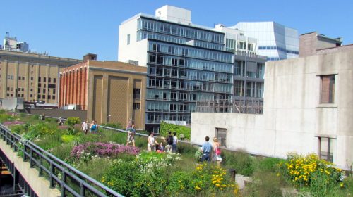 People walk through a vegetated raised platform in front of tall buildings.