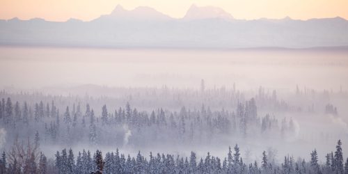 Smog over a evergreen forest, mountains in background