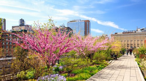 People walk through High Line Park in New York City