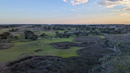 View overlooking Ocracoke Island wetlands as the sun is setting.