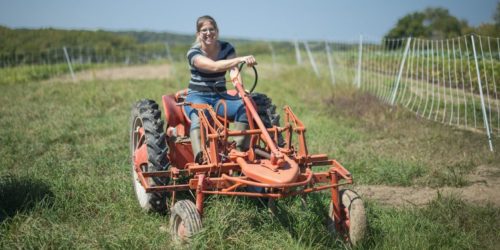 Kate Edwards uses a vintage tractor on her vegetable farm in Johnson County, Iowa. (Image credit: USDA)