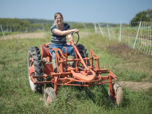 Kate Edwards uses a vintage tractor on her vegetable farm in Johnson County, Iowa. (Image credit: USDA)