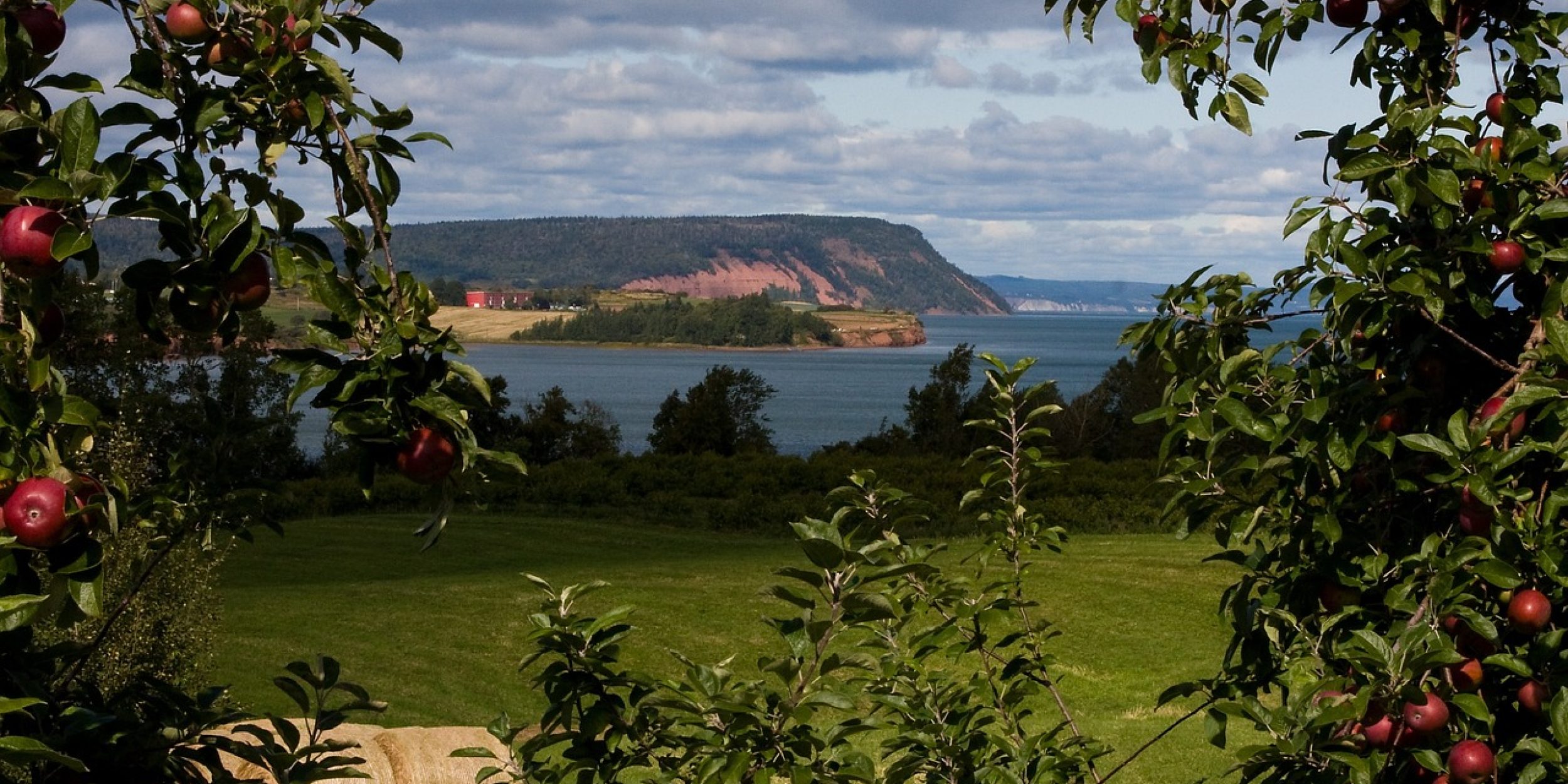 View in Blomidon, Nova Scotia