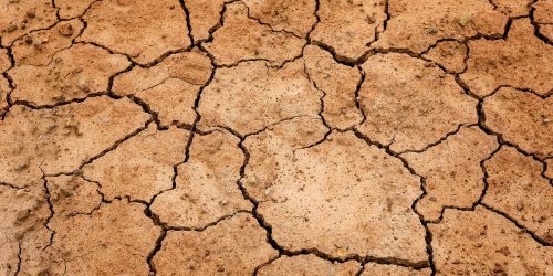 dry, cracked earth