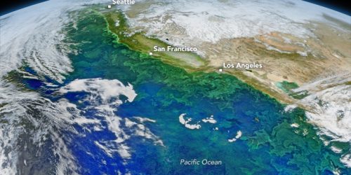 Process of upwelling in the eastern Pacific ocean