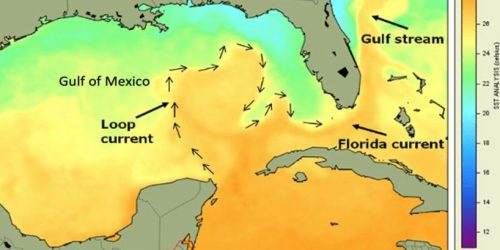 Map of Gulf of Mexico with sea surface temperature shown in color and land in brown. The Florida current is labeled.