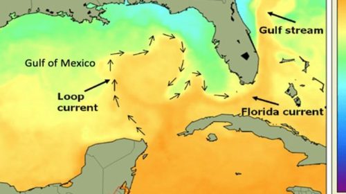 Map of Gulf of Mexico with sea surface temperature shown in color and land in brown. The Florida current is labeled.