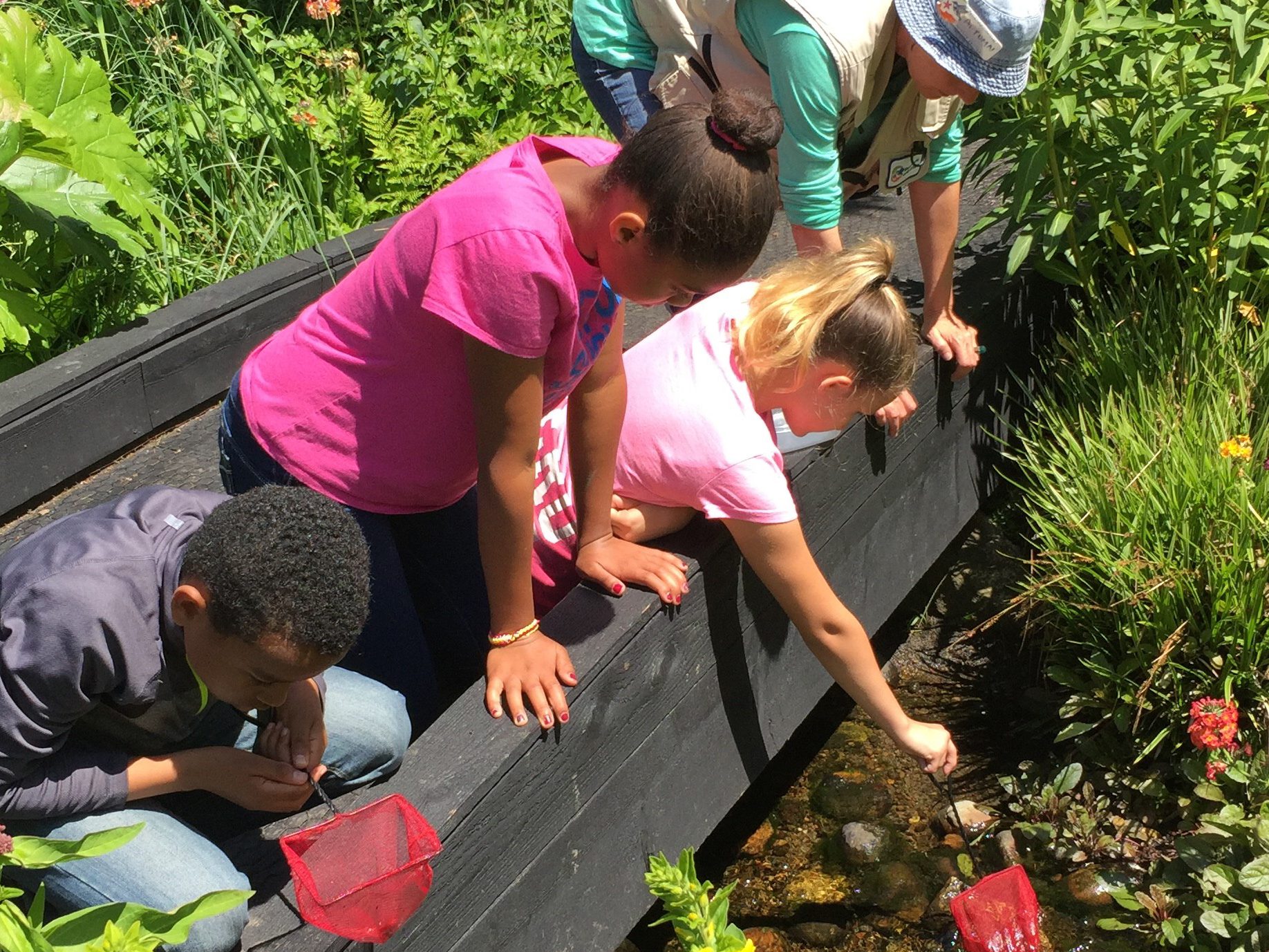 Star Lake Elementary and Totem Middle School students work with the Environmental Science Center to sample macroinvertebrates at a field study site in Washington state as part of a 2017 NOAA-21st CCLC Watershed STEM Education Partnership Grant. (Image credit: Environmental Science Center)