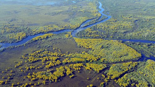 Overhead view of a wetland