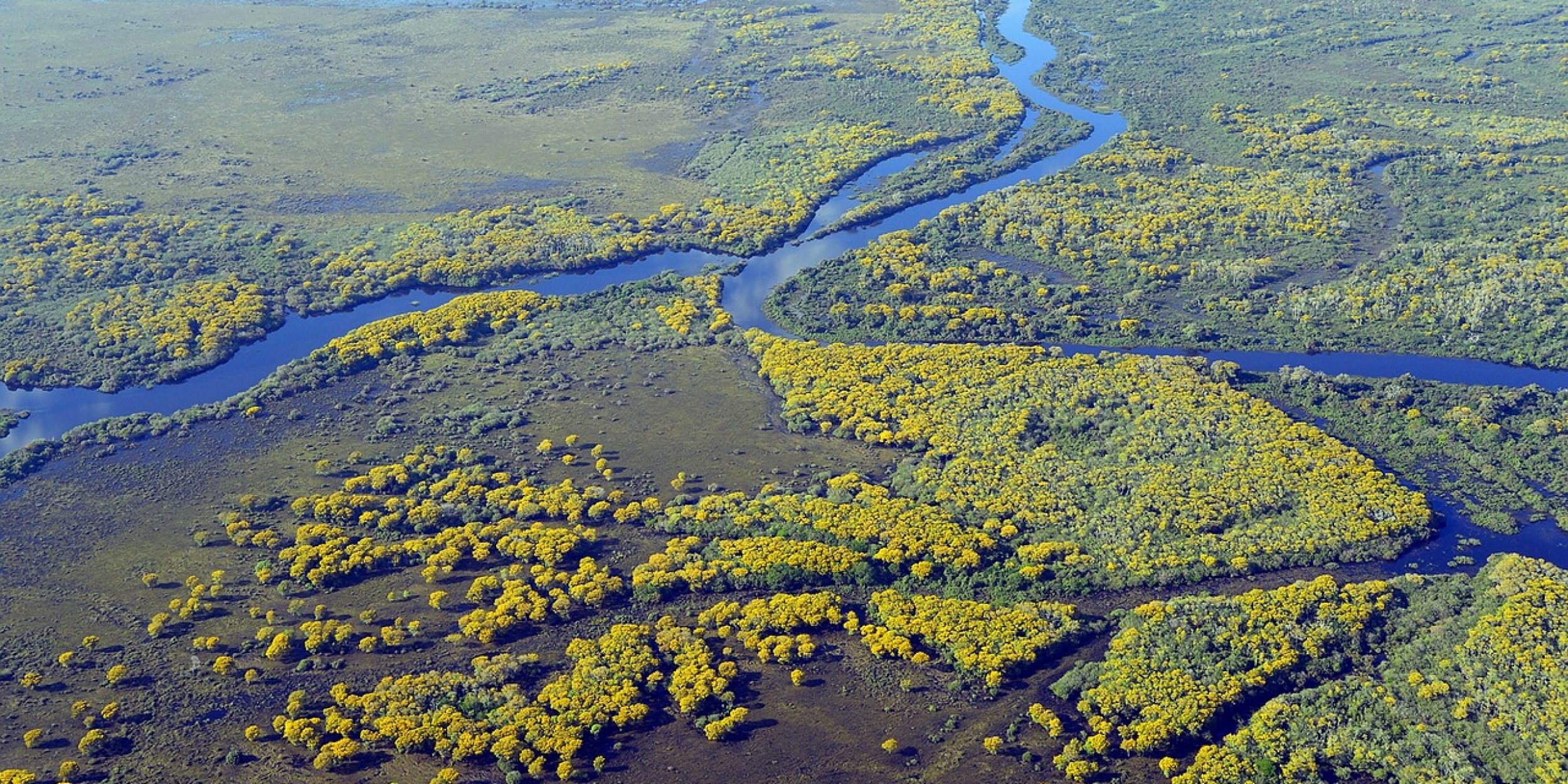 Overhead view of a wetland