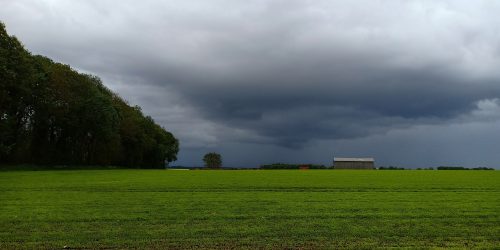 rain clouds over a field
