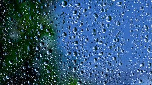 raindrops on a window